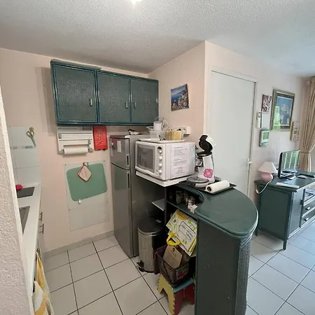 Apartmán T2 Avec Parking Et Piscine, Proche Commodites - Fr-1-749-73 Agde