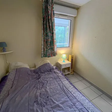 T2 Avec Parking Et Piscine, Proche Commodites - Fr-1-749-73 * Agde